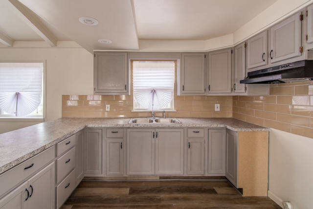 kitchen with under cabinet range hood, tasteful backsplash, dark wood-type flooring, and a sink