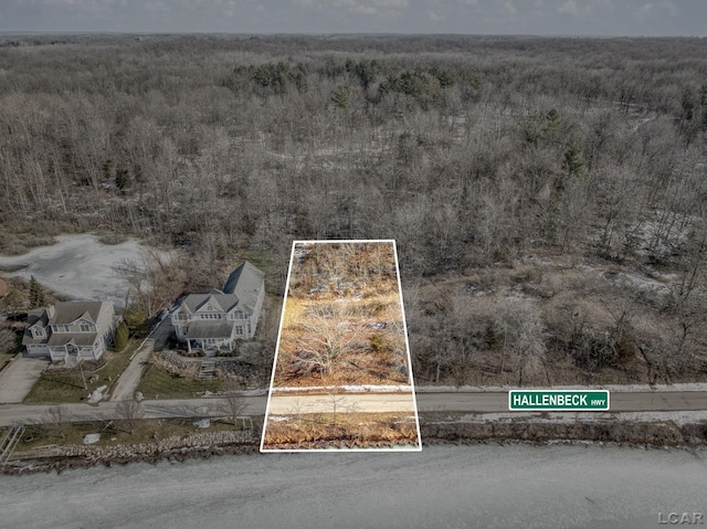6700 Hallenbeck Hwy, Manitou Beach, MI 49253 - photo 16