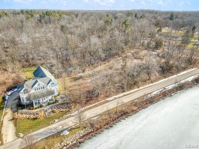 6700 Hallenbeck Hwy, Manitou Beach, MI 49253 - photo 20