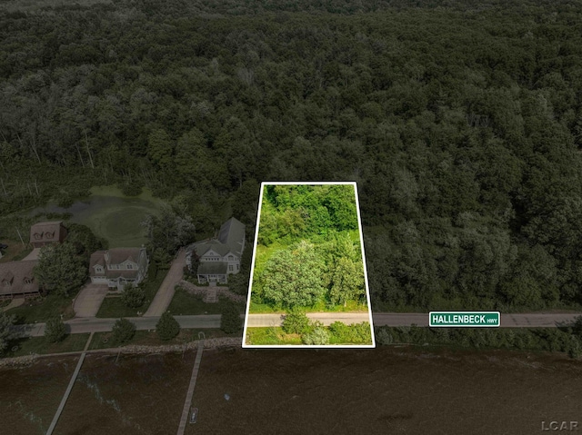 6700 Hallenbeck Hwy, Manitou Beach, MI 49253 - photo 3