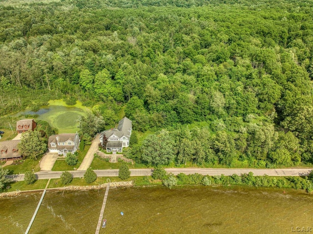 Listing photo 3 for 6700 Hallenbeck Hwy, Manitou Beach MI 49253