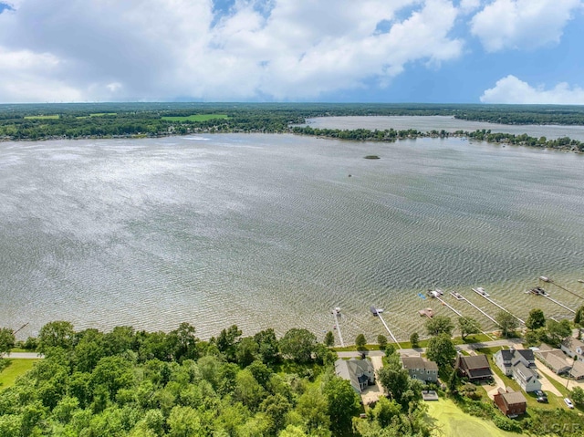 6700 Hallenbeck Hwy, Manitou Beach, MI 49253 - photo 8