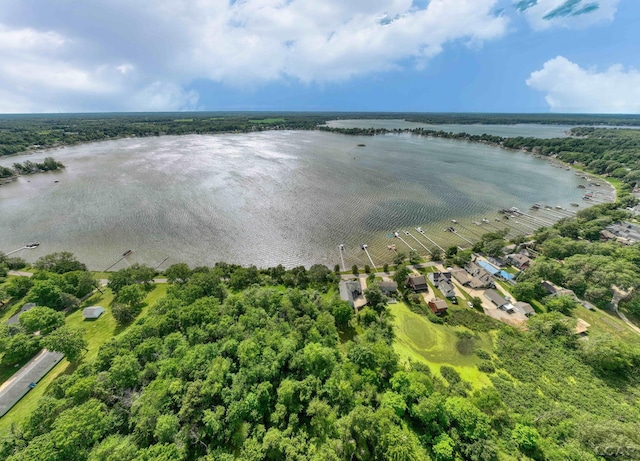 6700 Hallenbeck Hwy, Manitou Beach, MI 49253 - photo 10