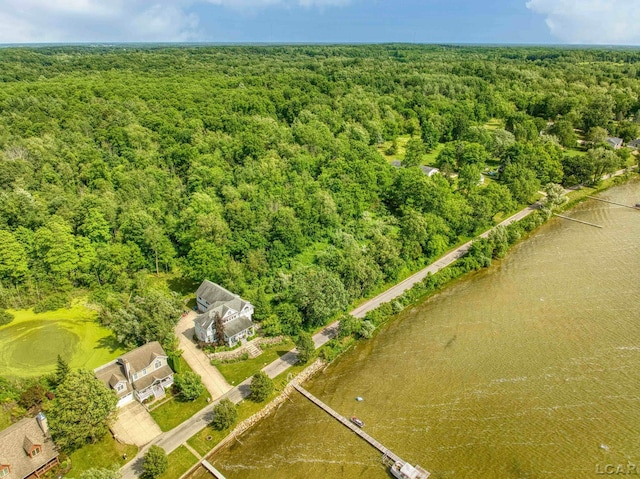 6700 Hallenbeck Hwy, Manitou Beach, MI 49253 - photo 11