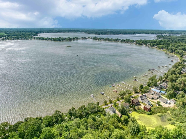 6700 Hallenbeck Hwy, Manitou Beach, MI 49253 - photo 14