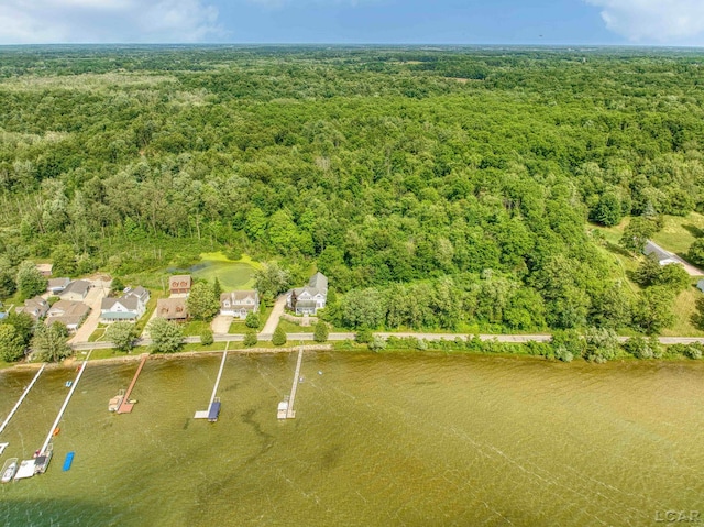 6700 Hallenbeck Hwy, Manitou Beach, MI 49253 - photo 1