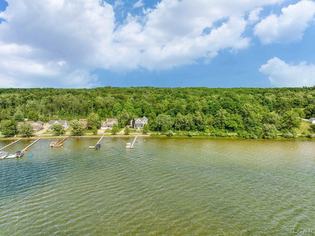 6700 Hallenbeck Hwy, Manitou Beach, MI 49253 - photo 15