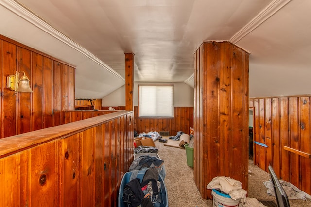 additional living space with wooden walls, a wainscoted wall, carpet, and lofted ceiling