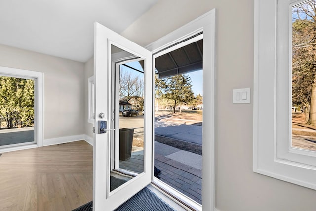 doorway featuring a wealth of natural light, baseboards, and wood finished floors