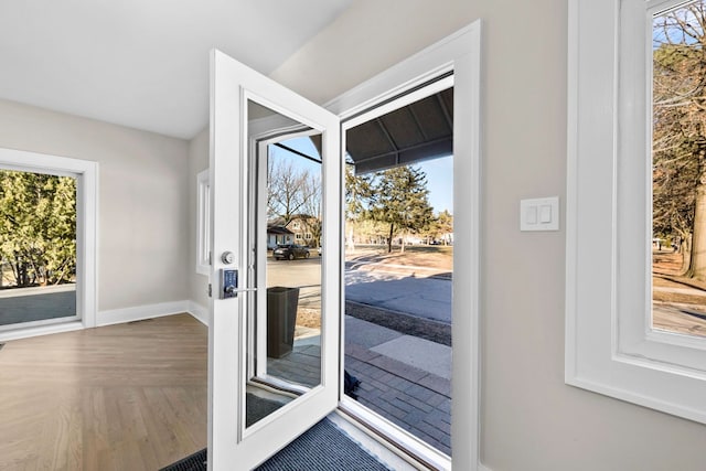 entryway featuring wood finished floors, baseboards, and a wealth of natural light