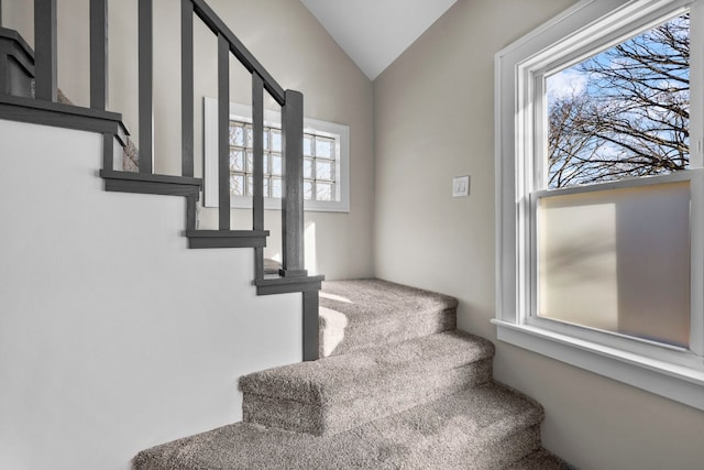stairway featuring lofted ceiling and carpet floors