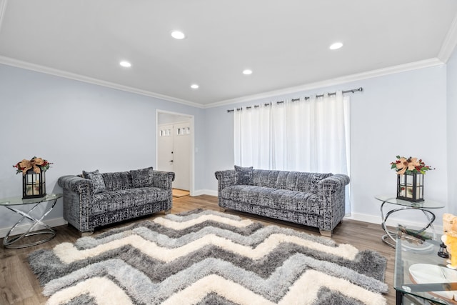 living room featuring baseboards, wood finished floors, and ornamental molding