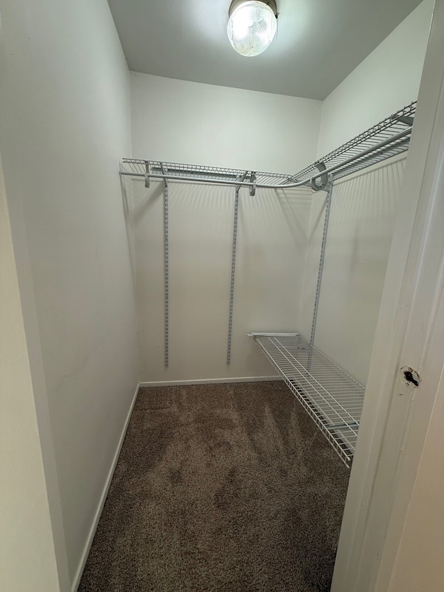 spacious closet with carpet flooring