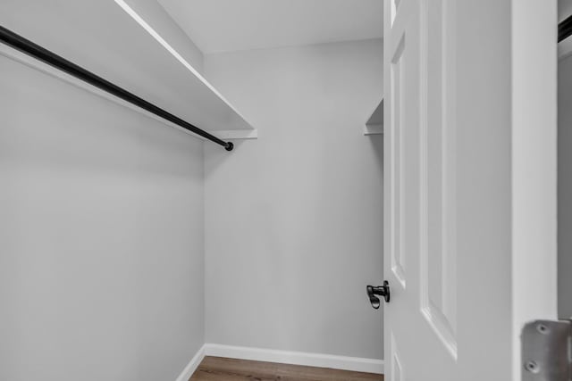 spacious closet featuring wood finished floors