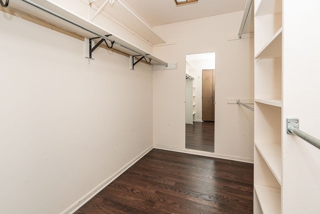 walk in closet with wood finished floors