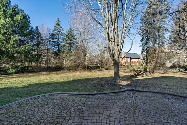 view of yard featuring a patio area