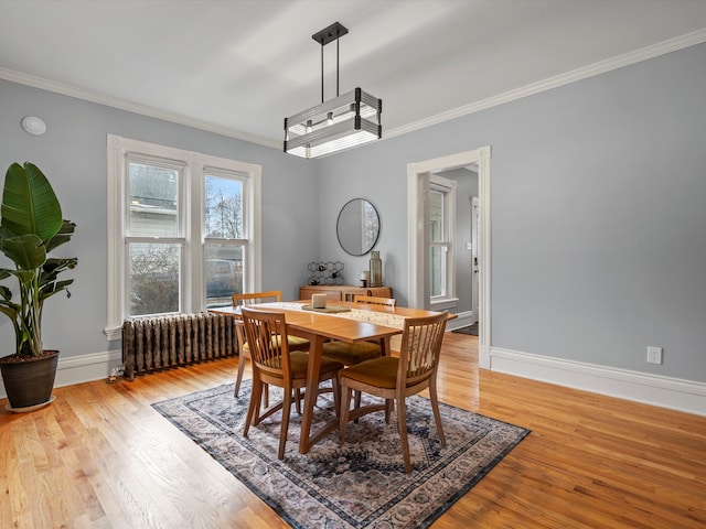 dining room with radiator, light wood-type flooring, baseboards, and ornamental molding