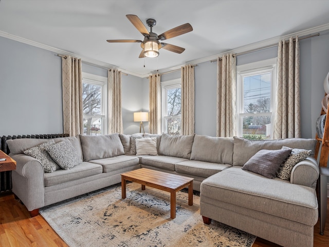 living area featuring light wood-type flooring, a ceiling fan, and crown molding