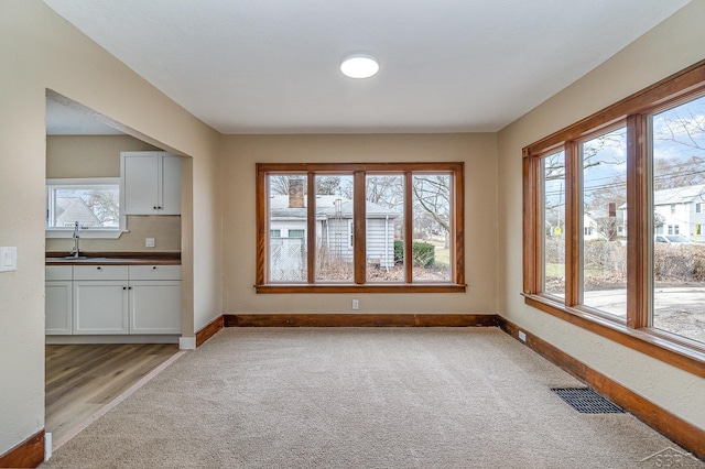 interior space with light colored carpet, baseboards, visible vents, and a sink