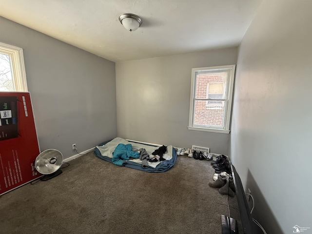 interior space with visible vents and carpet flooring