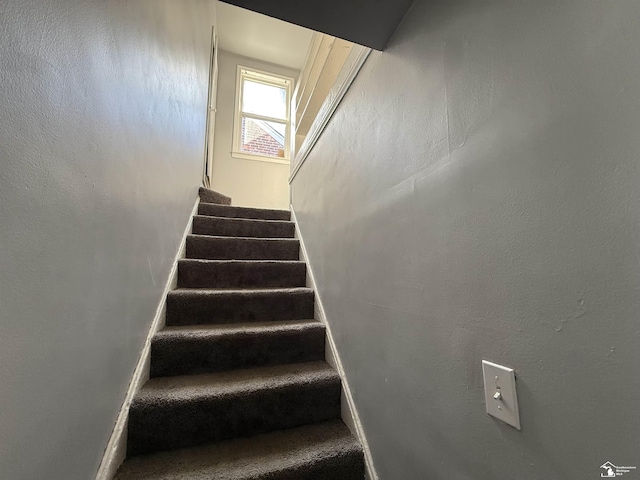 stairway with baseboards and carpet floors