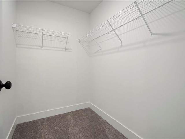 walk in closet with dark carpet