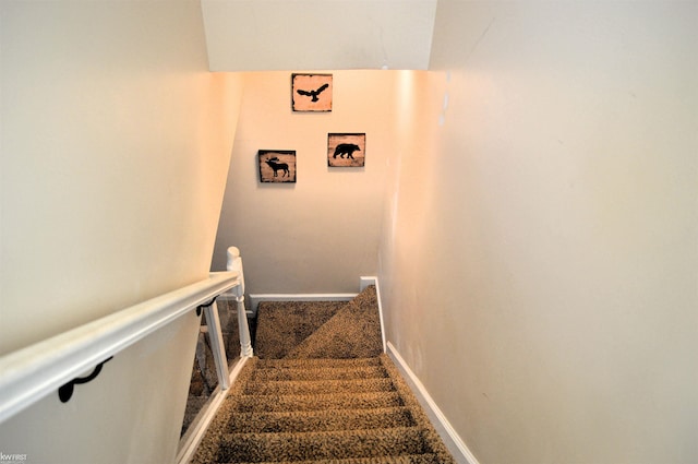 stairs with baseboards and carpet