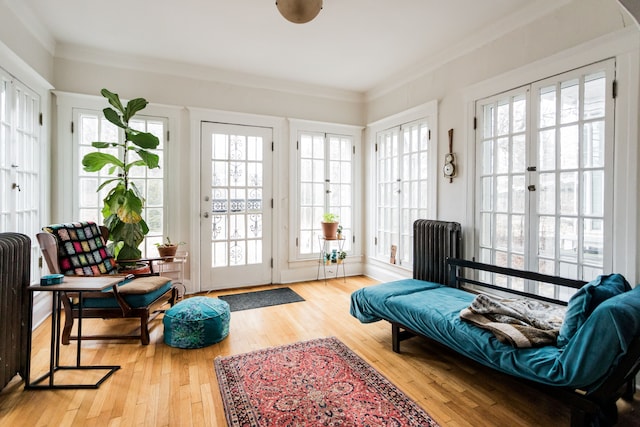 sunroom with radiator and a wealth of natural light