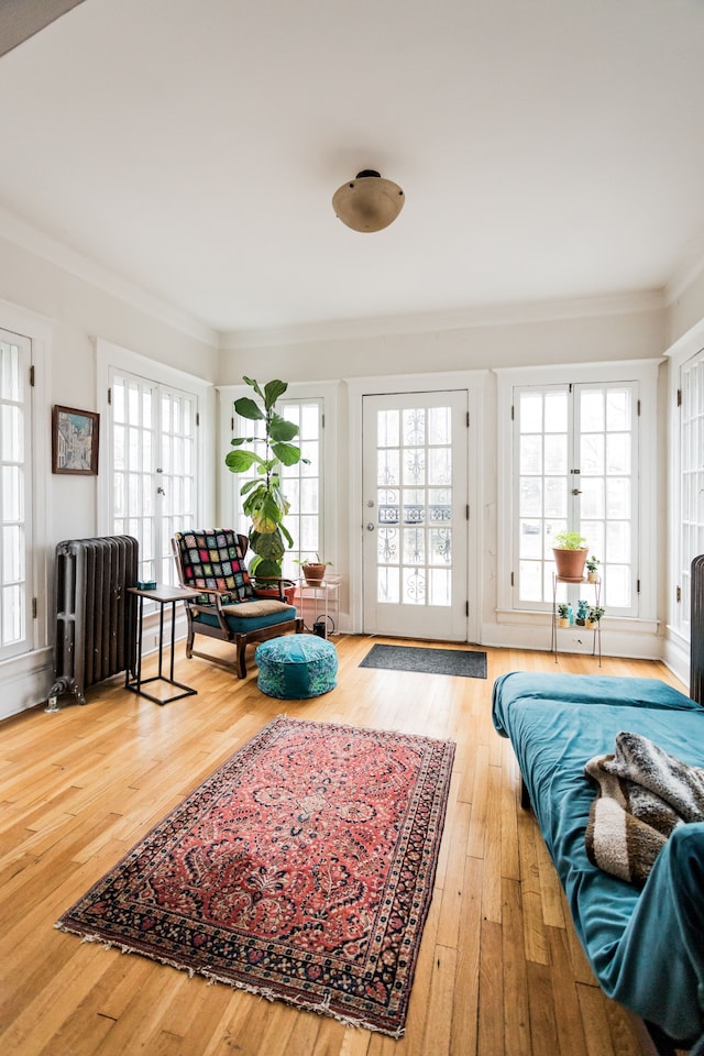 living room with hardwood / wood-style flooring, radiator heating unit, and crown molding