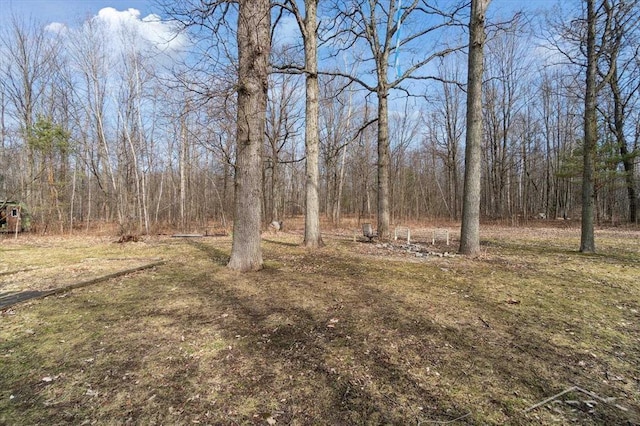 view of yard with a wooded view