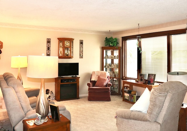 living room featuring carpet floors and a textured ceiling