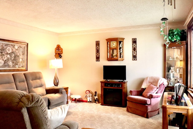 living room with carpet floors and a textured ceiling