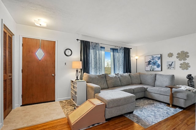 living area with wood finished floors