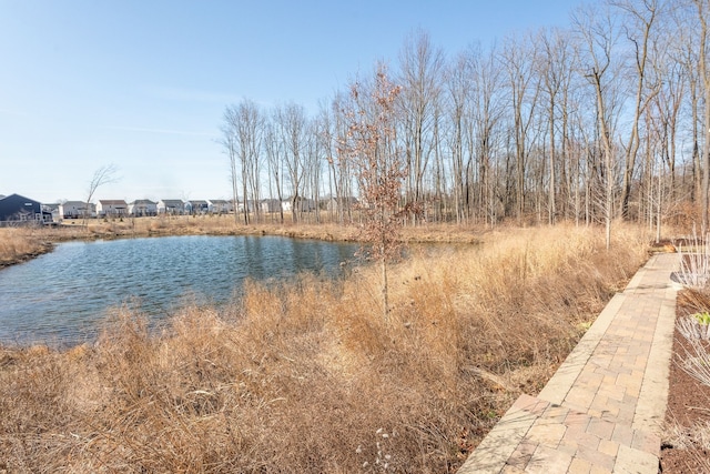 view of water feature