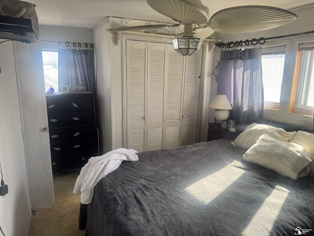 carpeted bedroom featuring a closet and multiple windows