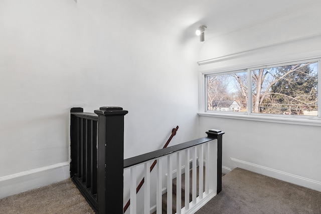 staircase featuring baseboards, a healthy amount of sunlight, and carpet flooring