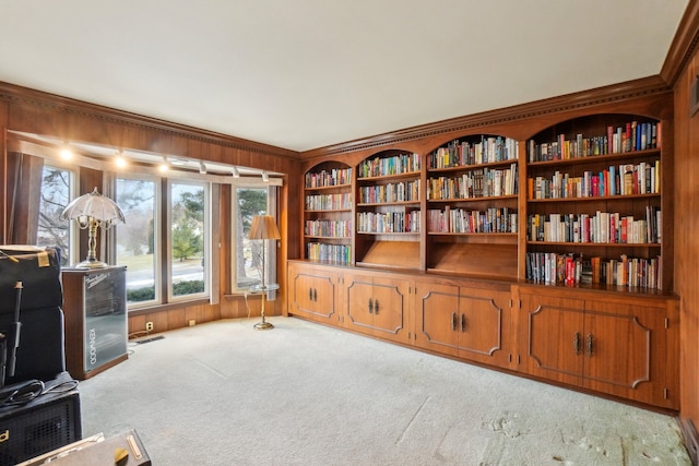 living area featuring wooden walls, carpet floors, and ornamental molding