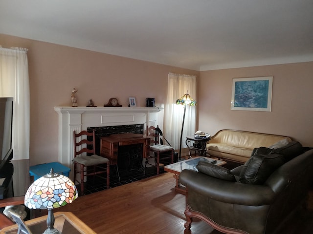 living area featuring wood finished floors and a fireplace