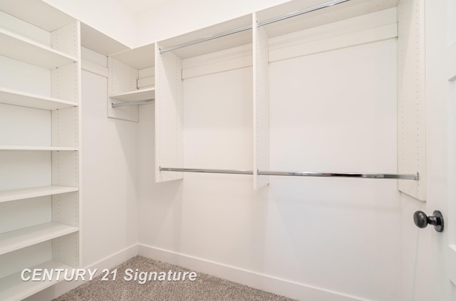 spacious closet with carpet floors