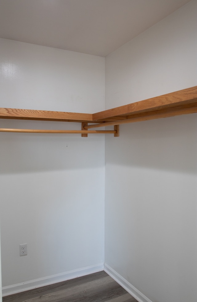 walk in closet featuring dark wood-style floors