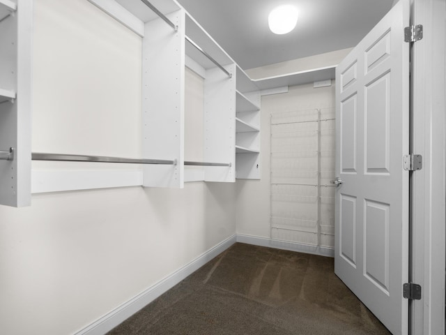 walk in closet featuring carpet