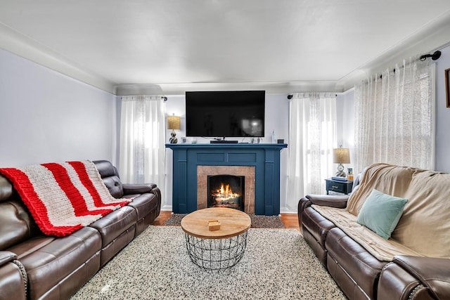 living room featuring a lit fireplace and wood finished floors