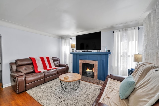 living room with a fireplace with flush hearth, wood finished floors, and baseboards