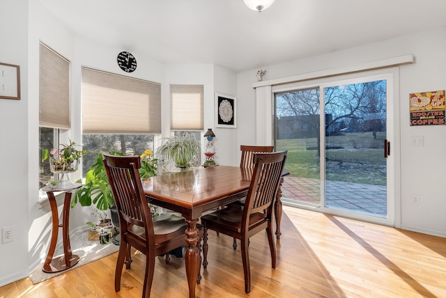 dining room with light wood-type flooring