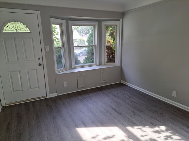 foyer with a healthy amount of sunlight, baseboards, and dark wood-style flooring