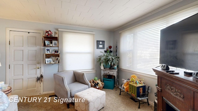 living area featuring carpet and ornamental molding