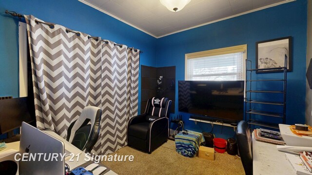 interior space featuring carpet and ornamental molding