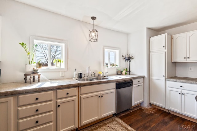 kitchen featuring dark wood finished floors, a sink, plenty of natural light, and stainless steel dishwasher