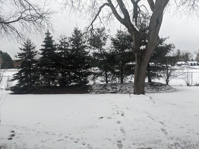 view of snowy yard