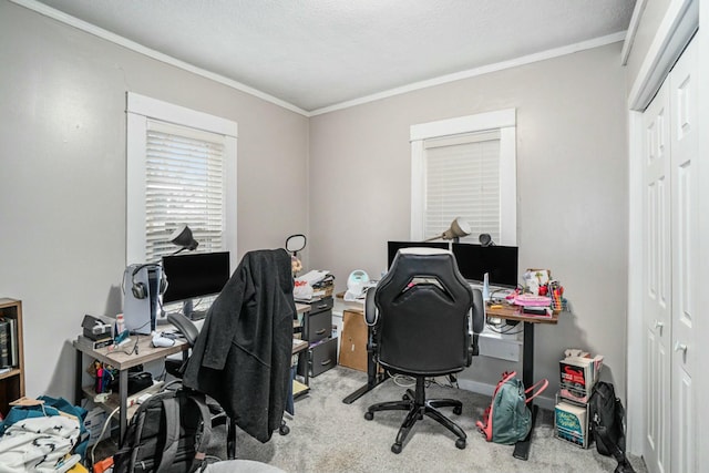 carpeted office with a textured ceiling and crown molding